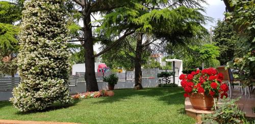 Umag Apartment | Fiori Apartment