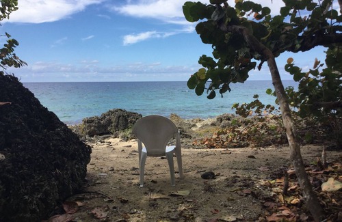 Green Island House | Firefly Seaside Cabin at at Half Moon Beach, Jamaica. 15 minutes to Negril.