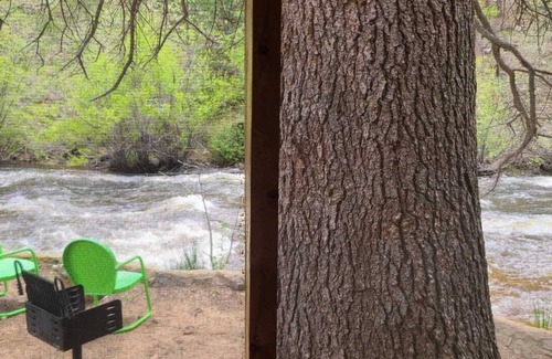 Estes Park Cabin | Fish Directly from Cabin
