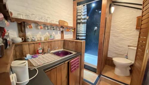 Aberystwyth Apartment | Fisherman's Cottage