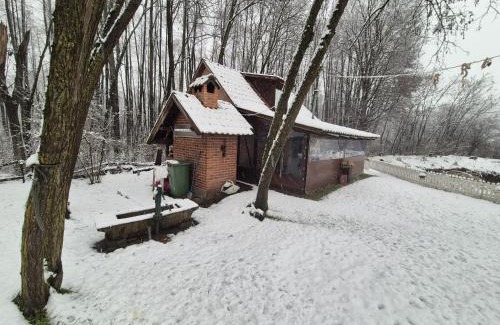 Republika Srpska House | Fisherman's paradise, House and LAKE