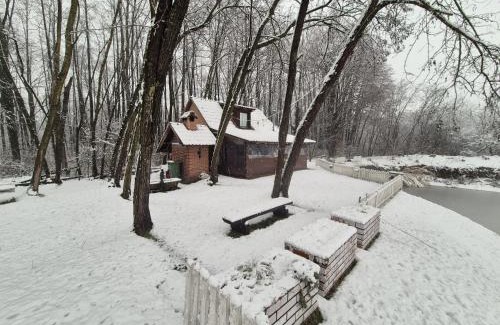 Republika Srpska House | Fisherman's paradise, House and LAKE