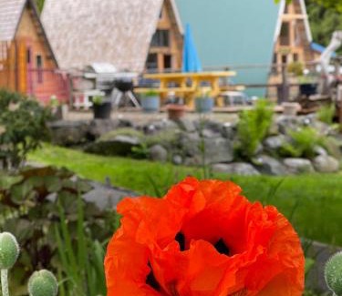 Powell River Ski Chalet | Fishermans Folly