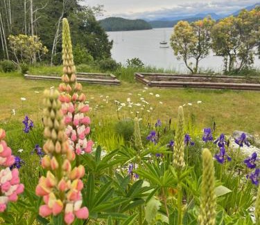 Powell River Ski Chalet | Fishermans Folly