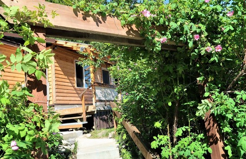 Haines Cottage | Fishing, Bears, Eagles & Salmon Viewing!