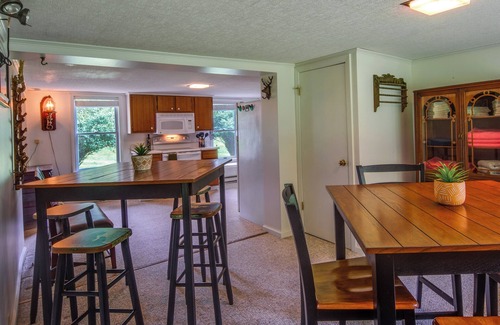 Frenchville Cottage | Fishing & Kayaking: Creekside Sinnamahoning Home!