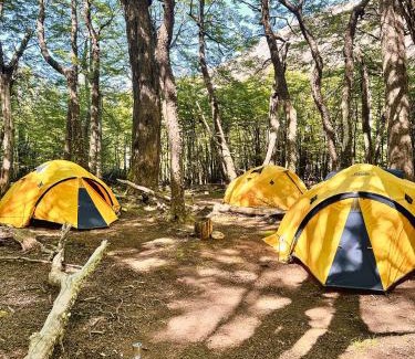 El Chalten Other | FITZ CAMP - Glamping agreste - Base Cerro Fitz Roy