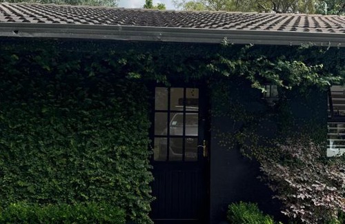 Tamahere Bed & Breakfast | Five Paddocks Tamahere