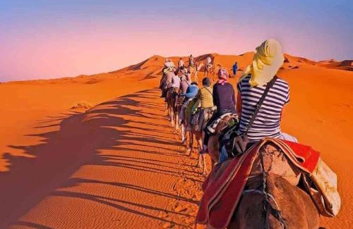 Amar Sagar Pol Other | Five Star Desert Camp & Resort