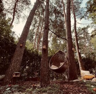 Rekem House | Five Trees Forest Home