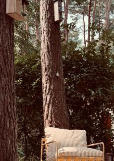 Rekem House | Five Trees Forest Home