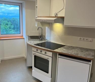 Wertheim Apartment | FlaKturm Wertheim