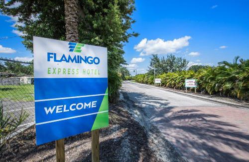 Kissimmee Hotel | Flamingo Express Hotel