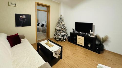 Reghin Apartment | Flamingo House