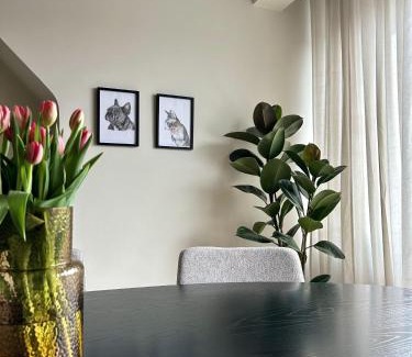 Oudenaarde Apartment | Flat centrum Oudenaarde met eigen fietsen berging