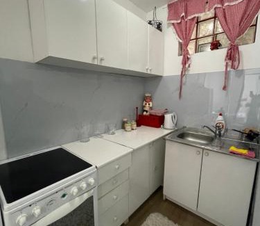 Golubovina Apartment | FLAT IN CENTAR IN BUDVA