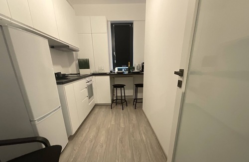 Iasi Apartment | Flat near Palas Mall Q Residence