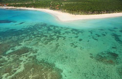 Tamandare Apartment | Flat no Carneiros Beach Resort