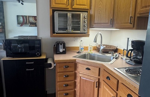 Bigfork Condo | FLATHEAD LAKE WATERFRONT STUDIO RETREAT! WITH BOAT OPTION