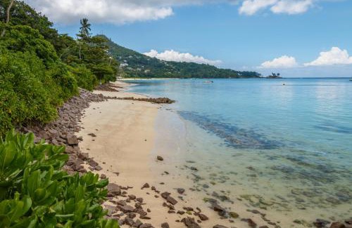 Anse Royale Apartment | Fleur de Sel