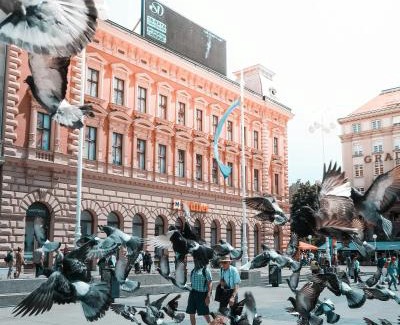 Zagreb Apartment | Flexible SelfCheckIns 103 - Zagreb - Centre - New