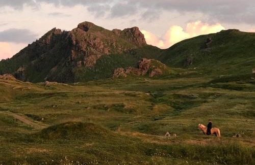 Valberg Other | FLO Lofoten nature escape