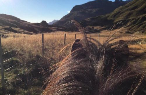 Valberg Other | FLO Lofoten nature escape