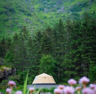 Valberg Other | FLO Lofoten nature escape
