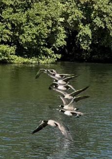 Fifield Boat Rental | Floating tranquility