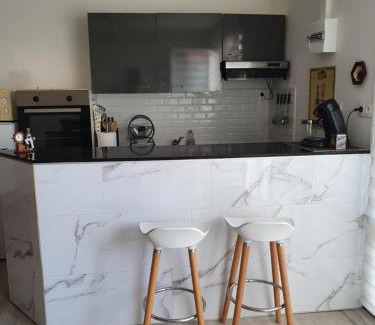 Bleriot-Plage Apartment | Flobart grand appartement à Sangatte au rdc et à 30 metres de la plage