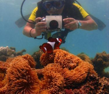 Pulau Perhentian Besar Resort | Flora Bay 1