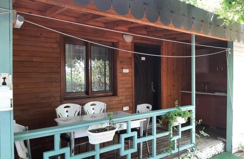 Cirali House | Flora Pansiyon Çıralı