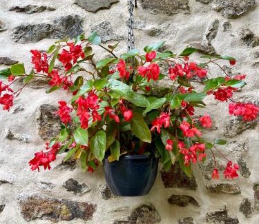Bussiere-Badil House | Flore at Vive le Vert