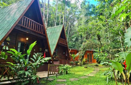 Ubatuba Other | Floresta Encantada