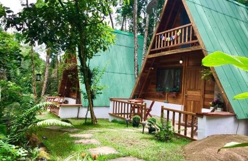 Ubatuba Other | Floresta Encantada