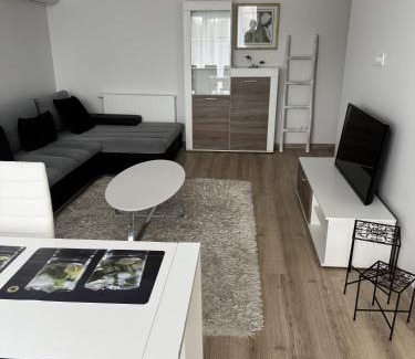 Marijampole Apartment | Florina namai