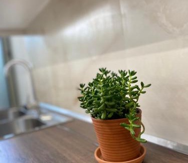 Durres Apartment | Flors Apartments