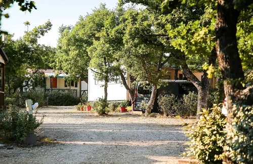 Banon House | Flower Camping le Epi Bleu * - Home-Flower Premium 30m2 (3 bedrooms) + covered terrace of 16m2 6 persons