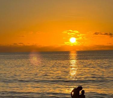 Beau Vallon Apartment | Flower Garden Self-Catering Apartments