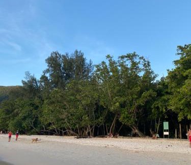 Beau Vallon Apartment | Flower Garden Self-Catering Apartments