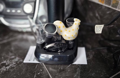 Scottsmoor House | Fly the Coop, Country living in my guesthouse