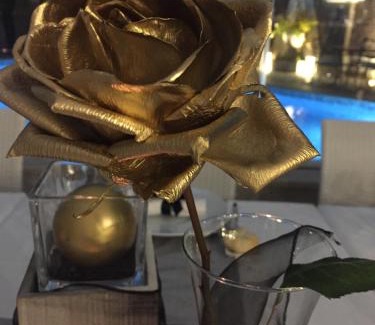 Bisceglie Bed & Breakfast | Foglie D' Acqua