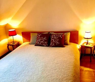 Stuivenberg Apartment | Foodiejive