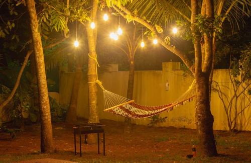Alappuzha Bed & Breakfast | Fool's Paradise Homestay
