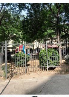 Saint-Sylvestre House | Force