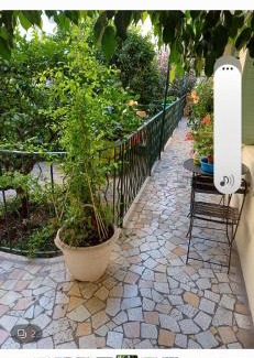 Saint-Sylvestre House | Force