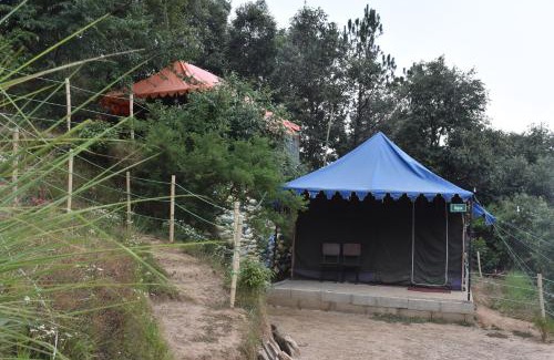 Kasiyalekh Other | Forest Acres Camps