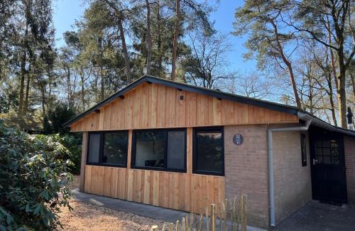 Rheezerveen House | Forest Bungalow 1 - Hottub - Nature - Relax