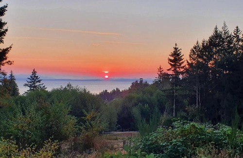 Courtenay Apartment | Forest by the Sea Rentals