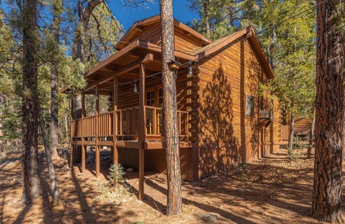 Christopher Creek House | Forest Cabin 6 Enchanted Forest